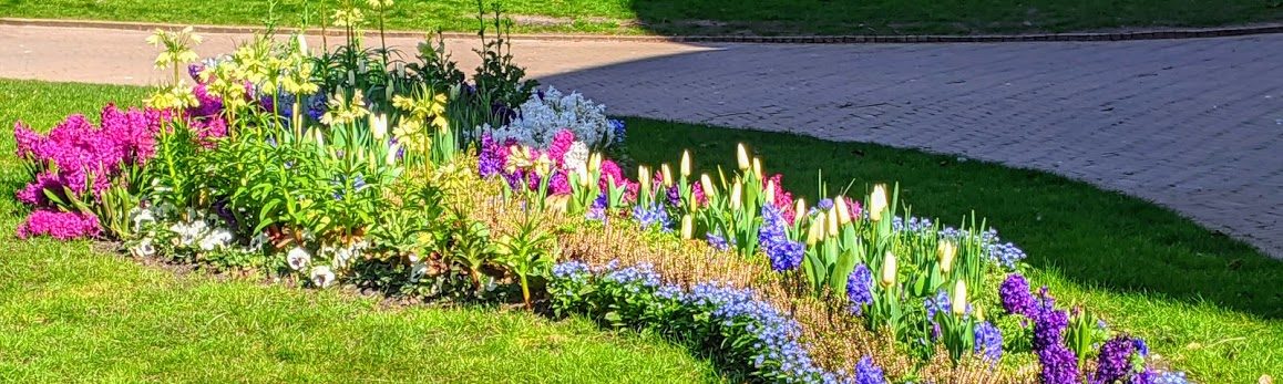 Amsterdam Spring time